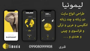 طراحی سایت شرکتی و فروشگاهی و سئو چند زبانه